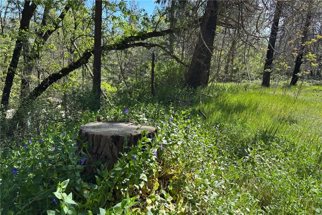 Detail Gallery Image 23 of 29 For 21138 Big Oak Ln, Lakehead,  CA 96051 - – Beds | – Baths