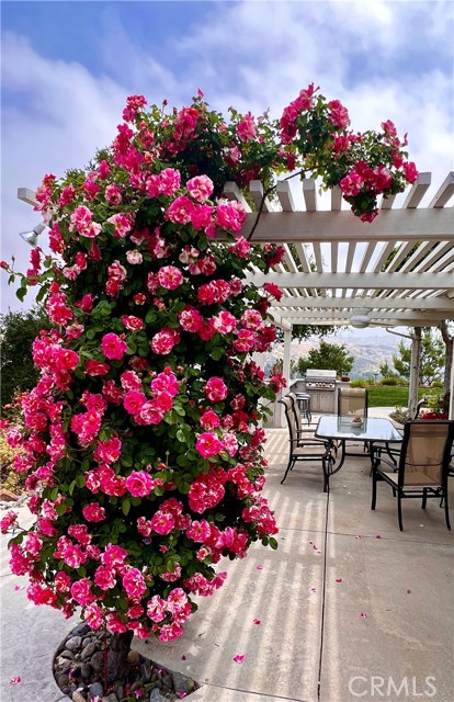 Detail Gallery Image 56 of 75 For 24525 Desert, Newhall,  CA 91321 - 5 Beds | 3/1 Baths