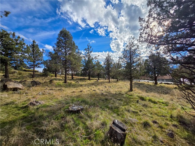Detail Gallery Image 5 of 16 For 0 Driftwood, Weed,  CA 96094 - – Beds | – Baths