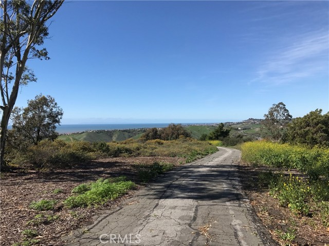 Views of the ocean from the Ridgeline trail.