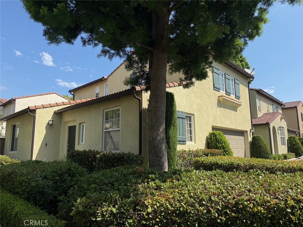 45 Avondale