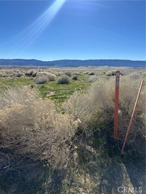 Detail Gallery Image 9 of 10 For 0 Gaskell Rd & George St, Rosamond,  CA 93560 - – Beds | – Baths