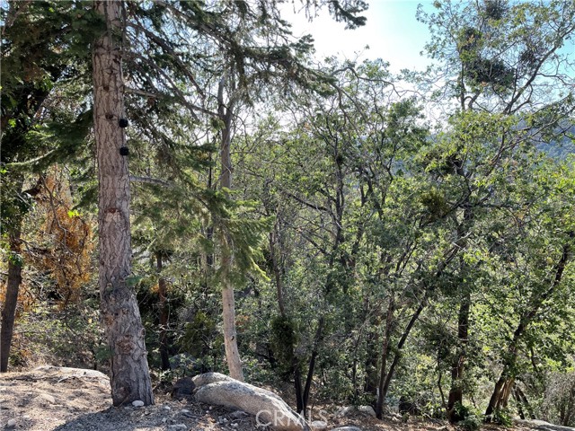 Detail Gallery Image 1 of 7 For 23 Lot 23 Music Camp Rd, Arrowbear,  CA 92382 - – Beds | – Baths