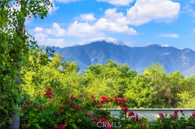 Detail Gallery Image 67 of 73 For 779 Coral Tree, Upland,  CA 91784 - 6 Beds | 5/2 Baths