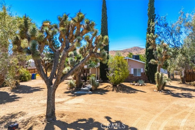 Detail Gallery Image 2 of 63 For 56469 Carlyle Dr, Yucca Valley,  CA 92284 - 2 Beds | 1 Baths