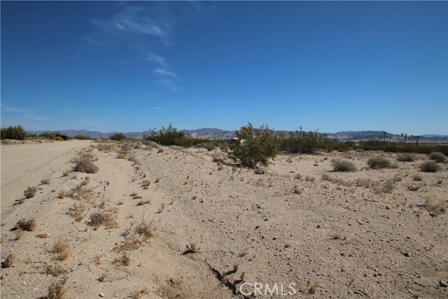 Detail Gallery Image 20 of 37 For 675 Pampas Ave, Twentynine Palms,  CA 92277 - – Beds | – Baths
