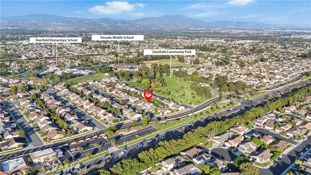 Image 37 of 42 For 6 Blazing Star