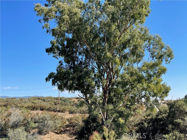 Detail Gallery Image 5 of 7 For 32701 Red Mountain Rd, Hemet,  CA 92544 - 3 Beds | 2 Baths