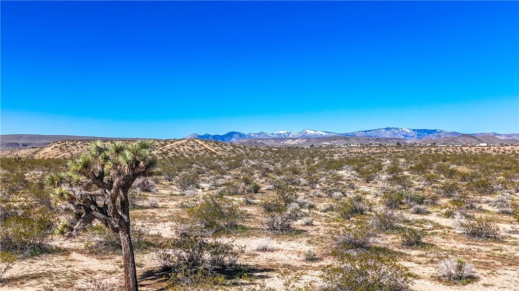 MLS #JT25078936 image #16