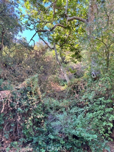 30752 Silverado Canyon Rd, Silverado Canyon, CA 92676