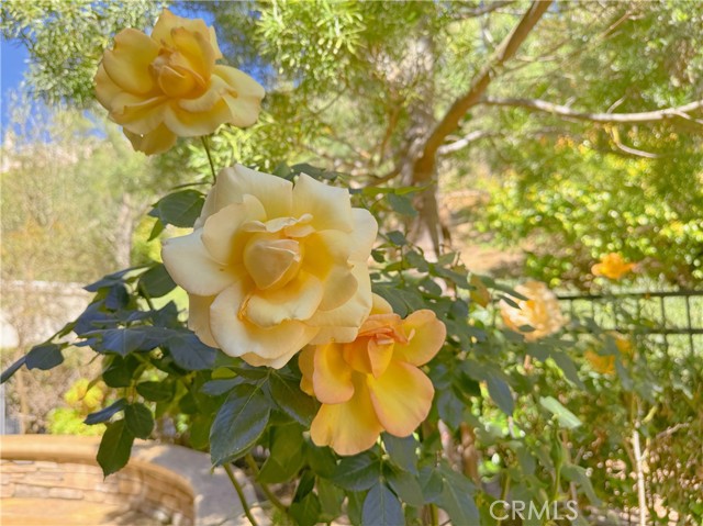 Detail Gallery Image 19 of 33 For 18 Renata, Newport Coast,  CA 92657 - 4 Beds | 3 Baths