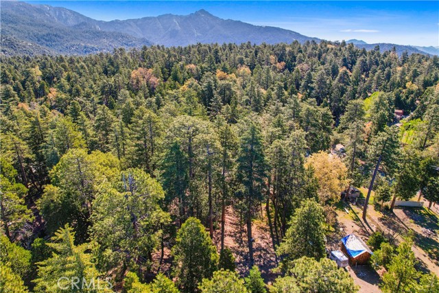 Detail Gallery Image 14 of 20 For 0 Pine Ridge Rd, Idyllwild,  CA 92548 - – Beds | – Baths