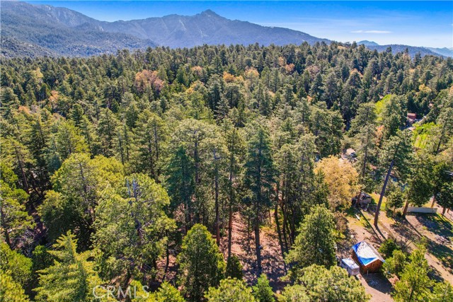 Detail Gallery Image 14 of 20 For 0 Pine Ridge Rd, Idyllwild,  CA 92548 - – Beds | – Baths