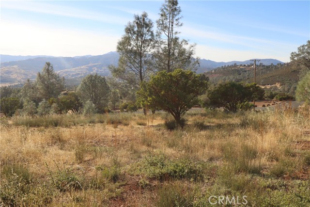 19825 Nicholas Way, Middletown, California 95461, ,Land,For Sale,19825 Nicholas Way,CRLC23202231