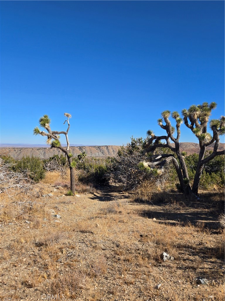 MLS #IG25037440 img 2