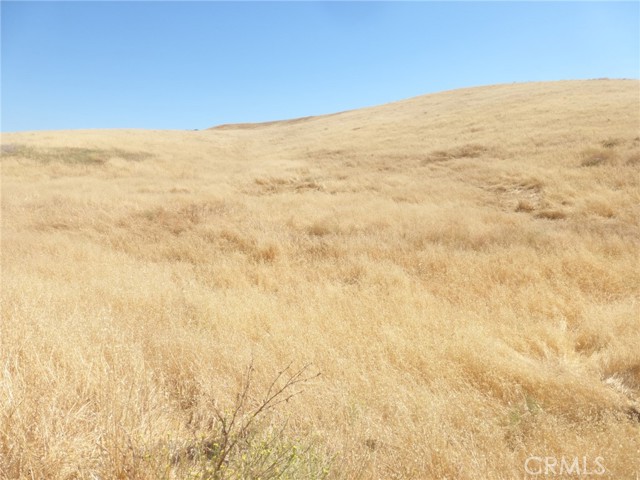 Detail Gallery Image 41 of 42 For 0 Douglas Rd. (Lots 40-43), San Miguel,  CA 93451 - – Beds | – Baths