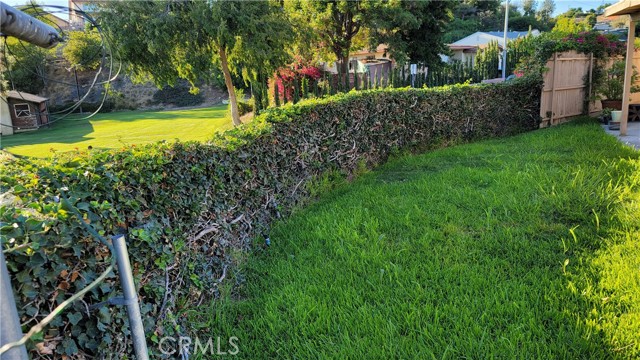 View of back yard lawn and rear chain linked fence, covered with ivy.