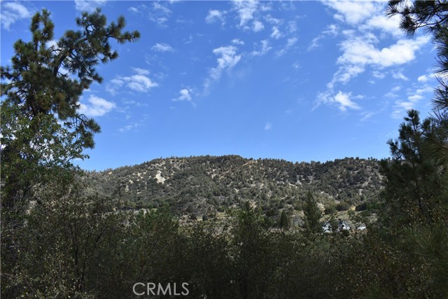 0 Logwood, Wrightwood, CA, 92397 0 Logwood, Wrightwood, CA, 92397