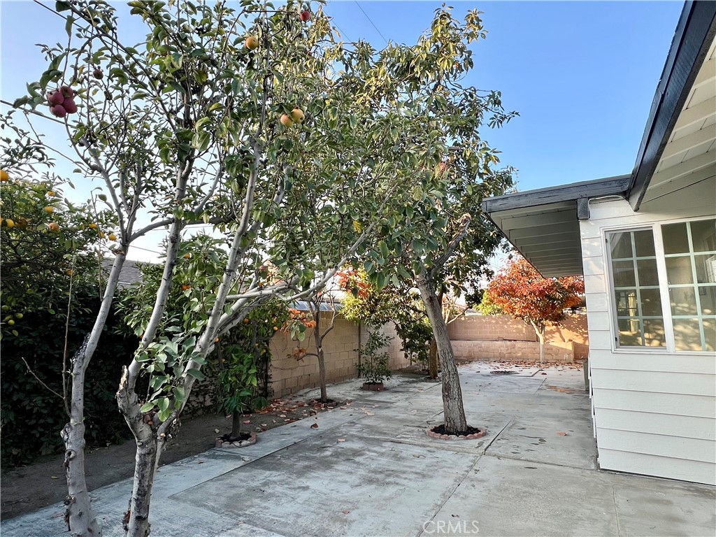 441Fe3Ed C15D 4023 B1D4 00Bebcedd342 219 S Primrose Street, Anaheim, Ca 92804 &Lt;Span Style='BackgroundColor:transparent;Padding:0Px;'&Gt; &Lt;Small&Gt; &Lt;I&Gt; &Lt;/I&Gt; &Lt;/Small&Gt;&Lt;/Span&Gt;