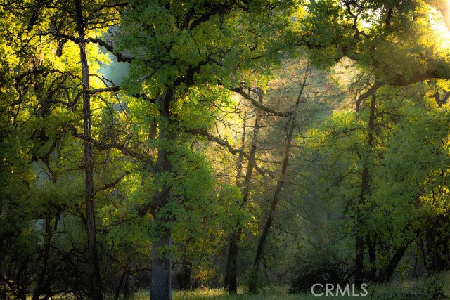 Detail Gallery Image 50 of 72 For 5333 Wilderness View Dr, Mariposa,  CA 95338 - 2 Beds | 2 Baths
