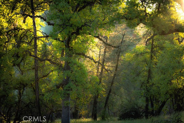 https://media.crmls.org/medias/4421499e-6123-4c39-8e6f-82a65e943012.jpg?preset=X-Large