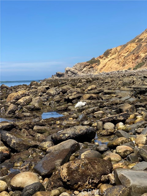 Enjoy the tide pools at Bluff Cove