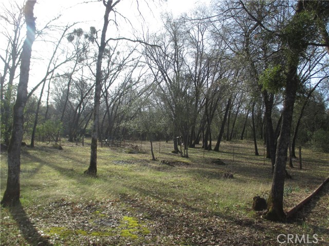 15 Hide A Way Road, Oroville CA: https://media.crmls.org/medias/442424bb-905f-43da-b073-162ada884858.jpg