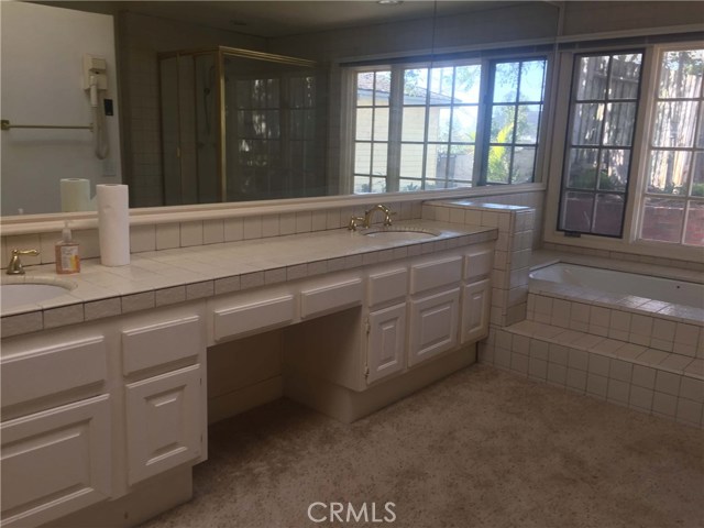 Master bath with dual sinks and sunken tub, view to rear yard Master bath with dual sinks and sunken tub, view to rear yard