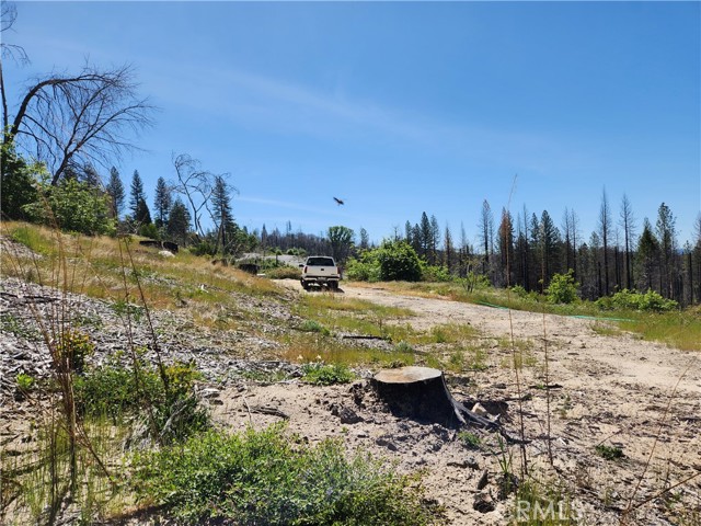 2175 Bald Rock Road, Berry Creek, California 95916, ,Land,For Sale,2175 Bald Rock Road,CROR23084026