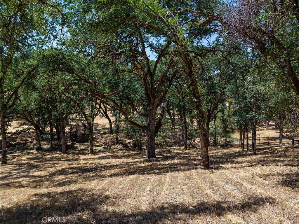 https://media.crmls.org/medias/443d8f81-45c6-43a3-8cc8-3a1ebd9c46bf.jpg?preset=X-Large