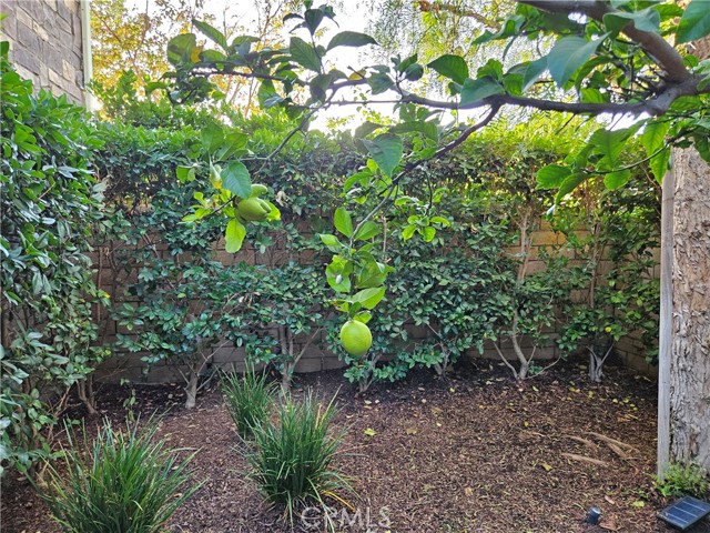 Detail Gallery Image 17 of 75 For 11 Peony, Lake Forest,  CA 92630 - 6 Beds | 4/1 Baths