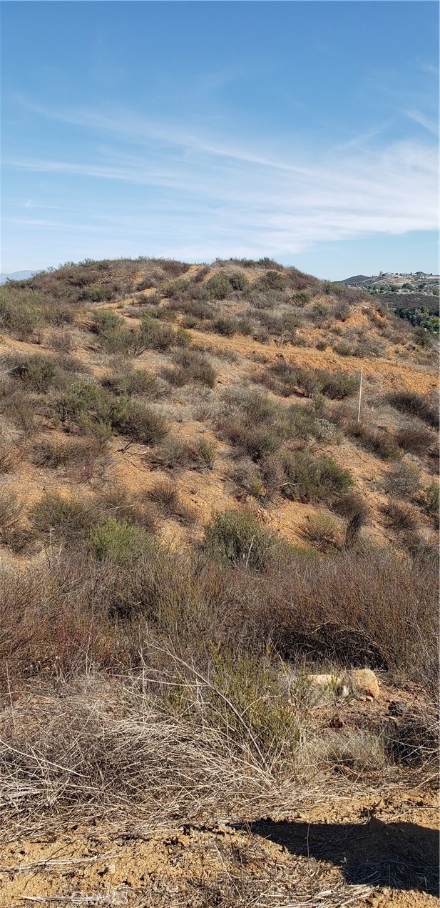 MLS #IV25264641 image #16