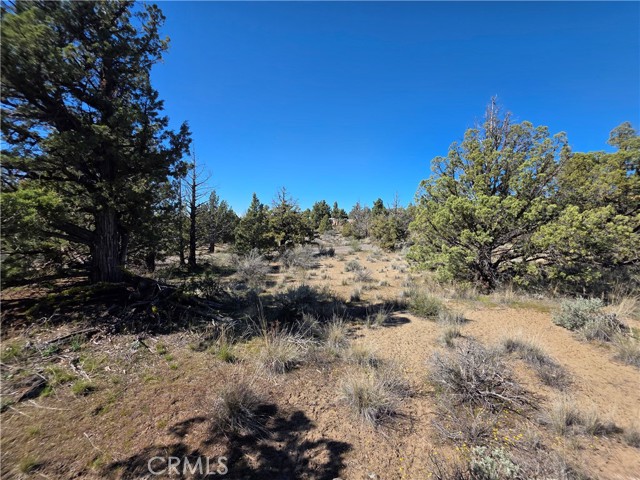 Detail Gallery Image 8 of 20 For 39 Blk 8 Lot 39 Katrina Dr Dr, Montague,  CA 96064 - – Beds | – Baths