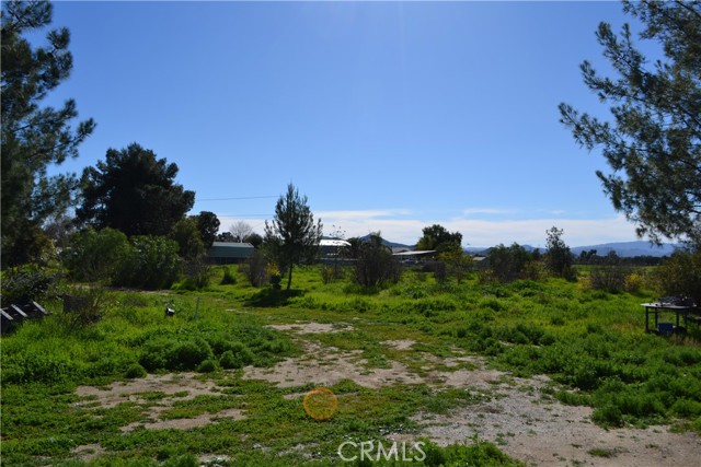 Image 6 of 38 For 29580 Patelli Way