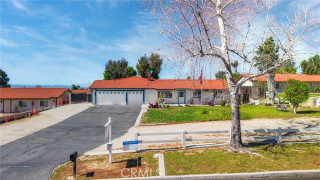 Image 28 of 34 For 12471 Sage Grouse