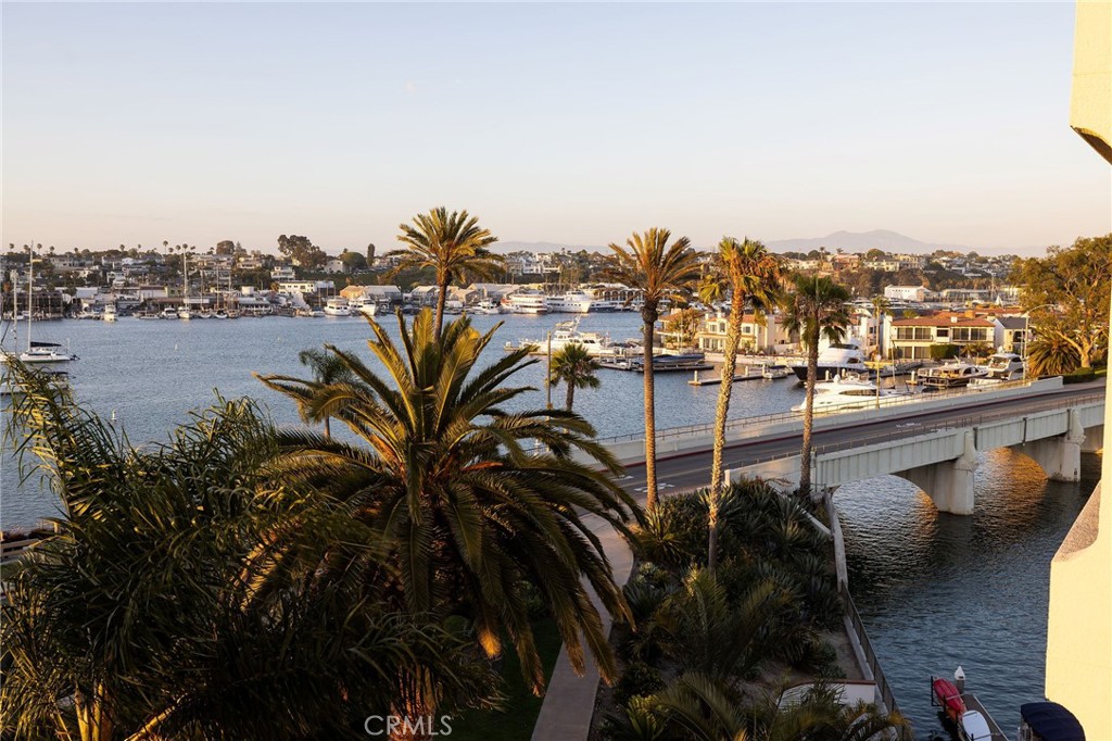 MLS #NP26128522 image #27