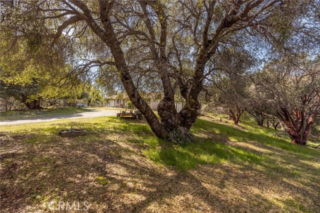 Detail Gallery Image 49 of 62 For 33030 Road 233, North Fork,  CA 93643 - 3 Beds | 2 Baths