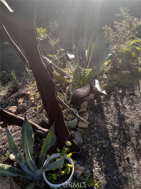 Detail Gallery Image 40 of 58 For 38160 Ocean Ridge Dr, Gualala,  CA 95445 - – Beds | – Baths