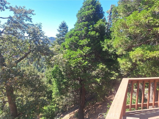 21425 Sawpit Canyon Road, Cedarpines Park, CA 92322
