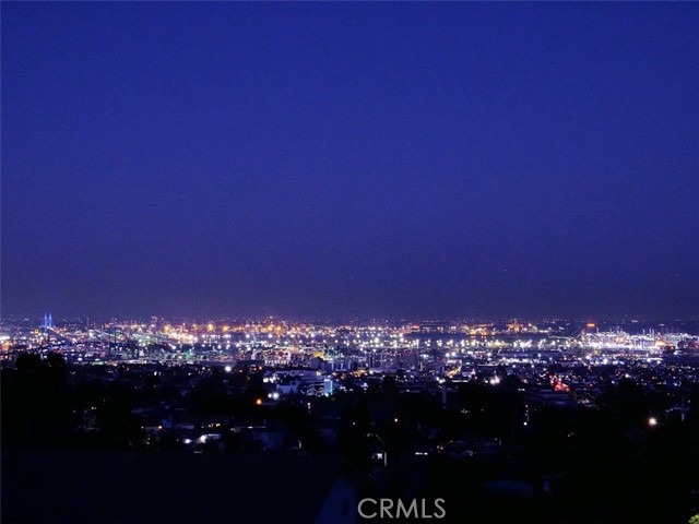 Sparkling City & Harbor View at Night