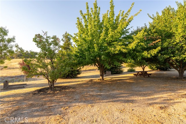 Detail Gallery Image 43 of 64 For 820 Golden Meadow Dr, Paso Robles,  CA 93446 - 5 Beds | 3 Baths