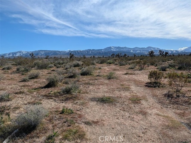 Front Image Thumbnail for CRIV26035219