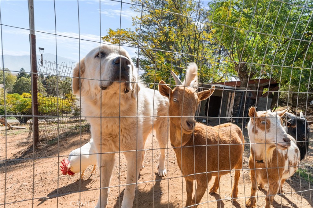 MLS #IG25247318 image #55