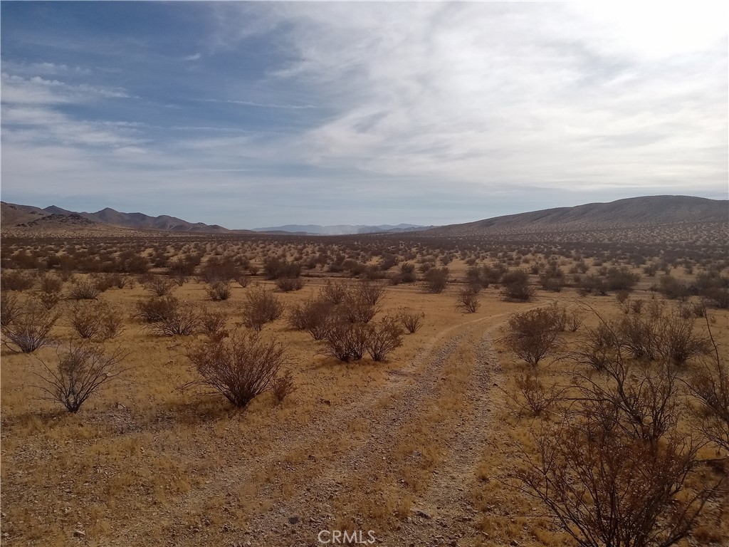 MLS #DW25020276 image #4