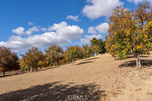 Detail Gallery Image 43 of 51 For 4350 Vineyard Dr, Paso Robles,  CA 93446 - 4 Beds | 3/1 Baths