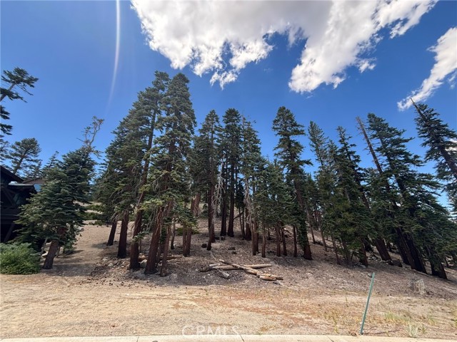 49 Bridges Lane, Mammoth Lakes CA: https://media.crmls.org/medias/44b34a67-e3d9-4481-a22e-025ce6ee973f.jpg