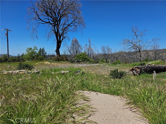 Detail Gallery Image 13 of 29 For 24 Mills Ranch Rd, Oroville,  CA 95966 - – Beds | – Baths