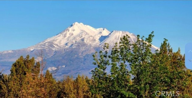 Front Image Thumbnail for CRSR26023320