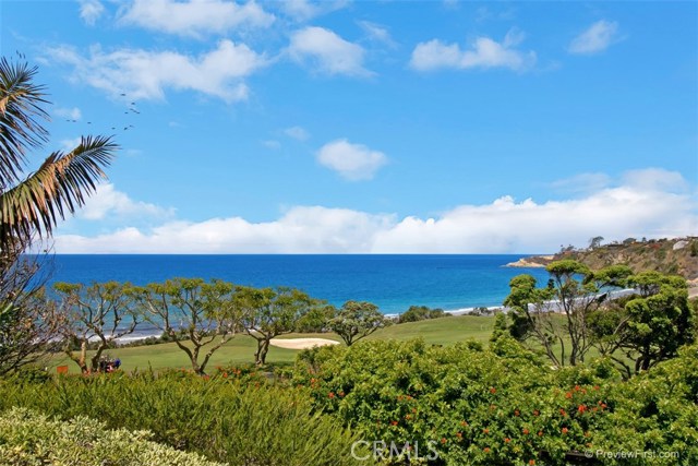 97 Ritz Cove Drive, Dana Point CA: https://media.crmls.org/medias/44bc0f5d-dbd7-4a91-99d6-2878da303a9d.jpg