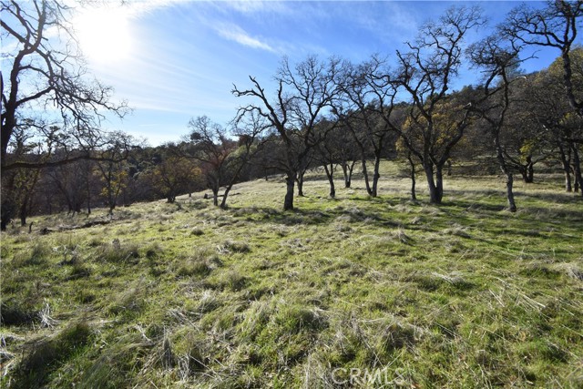 Detail Gallery Image 32 of 60 For 1193 Oregon Gulch Rd, Oroville,  CA 95965 - – Beds | – Baths